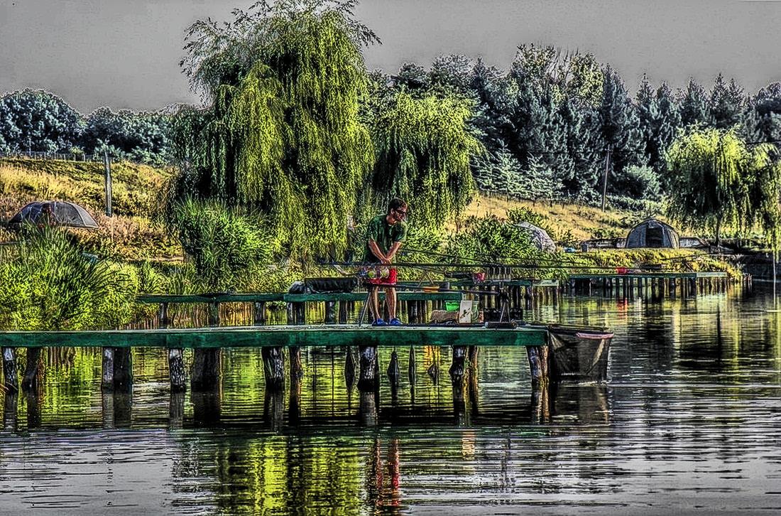 Cupa Verii MV2 - RB Baits - 2013 - 1016038hdrmode2.jpg